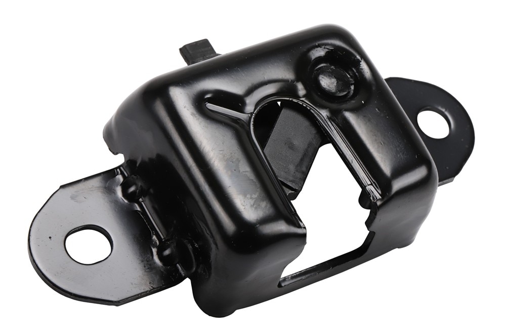 GM Genuine Parts Driver Side Pickup Box Tailgate Latch