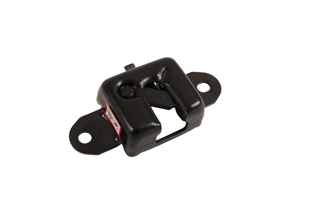 GM Genuine Parts Passenger Side Pickup Box Tailgate Latch