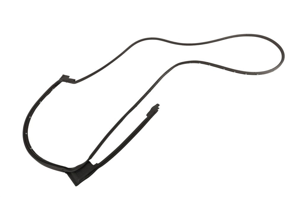 GM Genuine Parts Rear Passenger Side Door Weatherstrip
