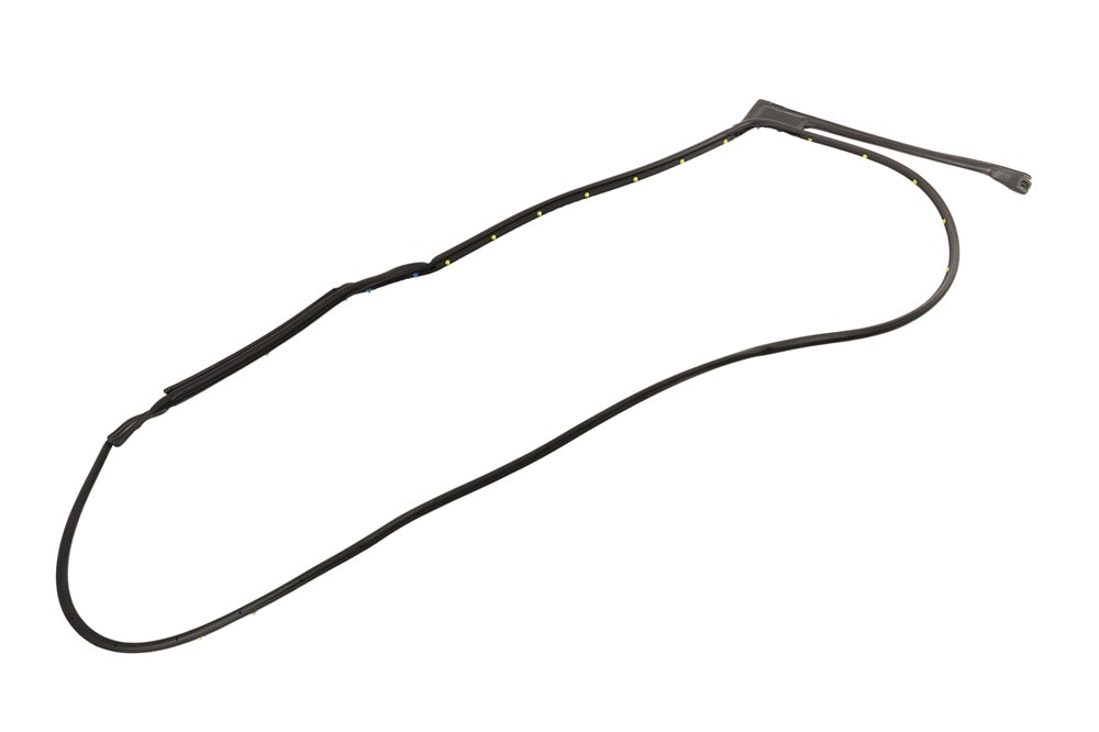 GM Genuine Parts Rear Driver Side Door Weatherstrip
