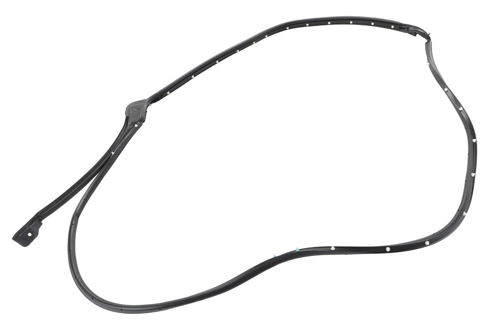 GM Genuine Parts Rear Passenger Side Door Weatherstrip (Door Side)
