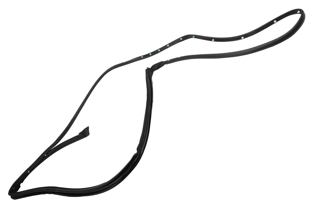 GM Genuine Parts Rear Driver Side Door Weatherstrip