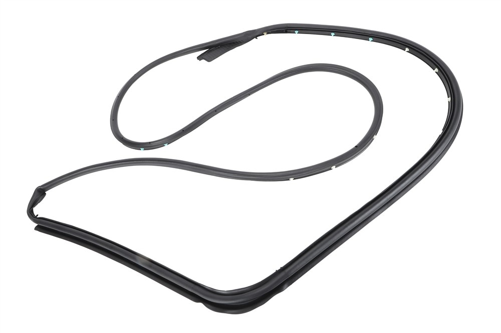 GM Genuine Parts Front Passenger Side Weatherstrip (Door Side)