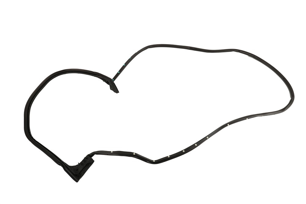 GM Genuine Parts Front Passenger Side Door Weatherstrip