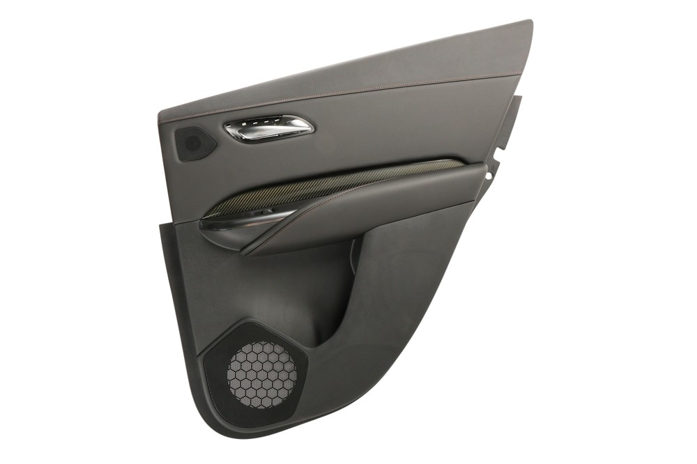 GM Genuine Parts Black Rear Passenger Side Door Trim