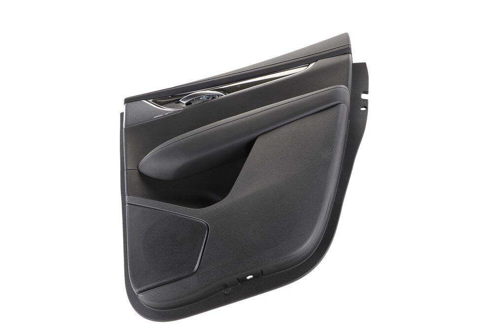 GM Genuine Parts Black Rear Passenger Side Door Trim