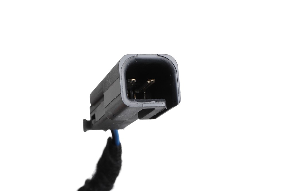 Alternate Image