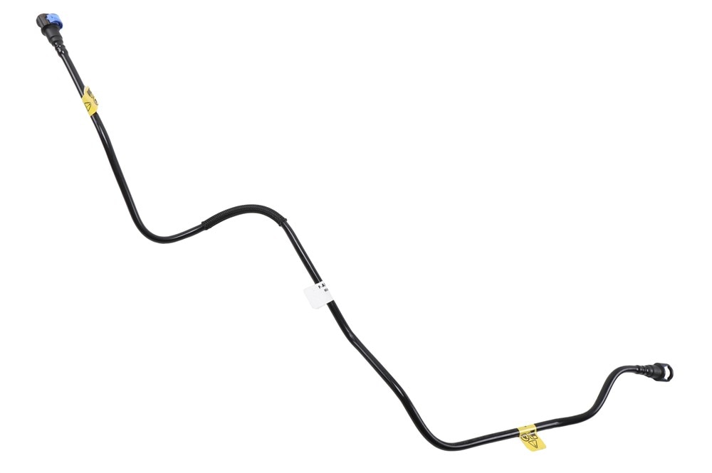 Alternate Image