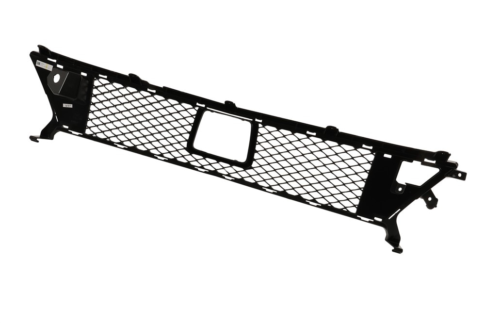 Alternate Image