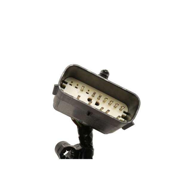 Alternate Image