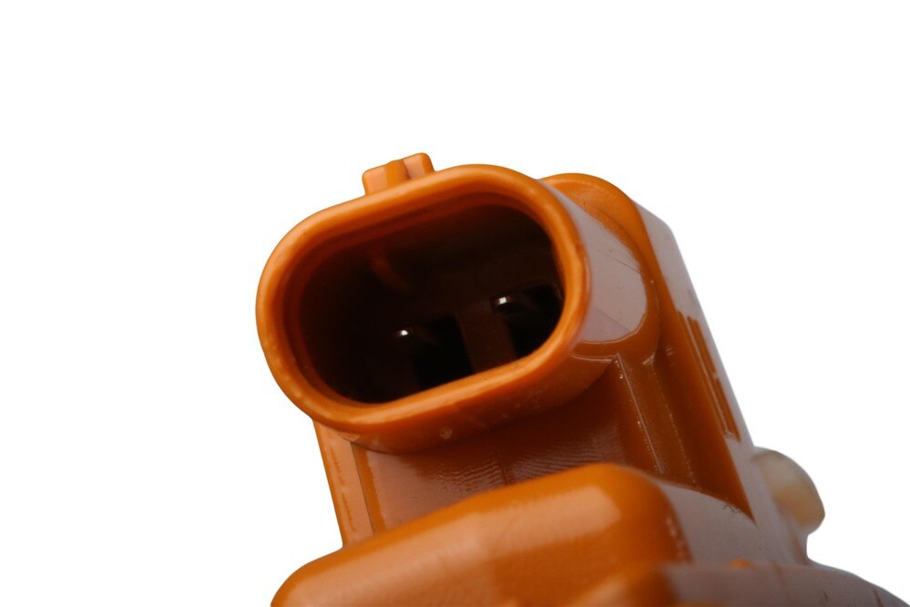 Alternate Image