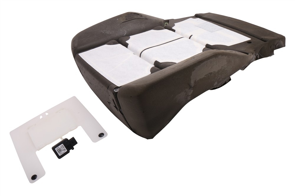 GM Genuine Parts Front Passenger Presence Module