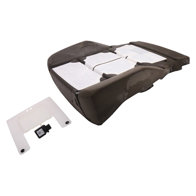 GM Genuine Parts Front Passenger Presence Module