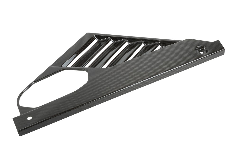 GM Genuine Parts Exposed Carbon Fiber Passenger Side Back Body Opening Frame Side Filler