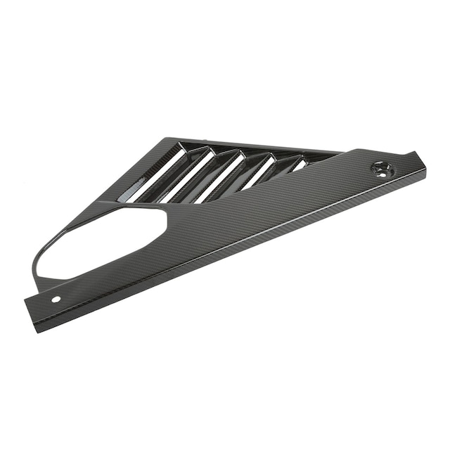 GM Genuine Parts Exposed Carbon Fiber Passenger Side Back Body Opening Frame Side Filler