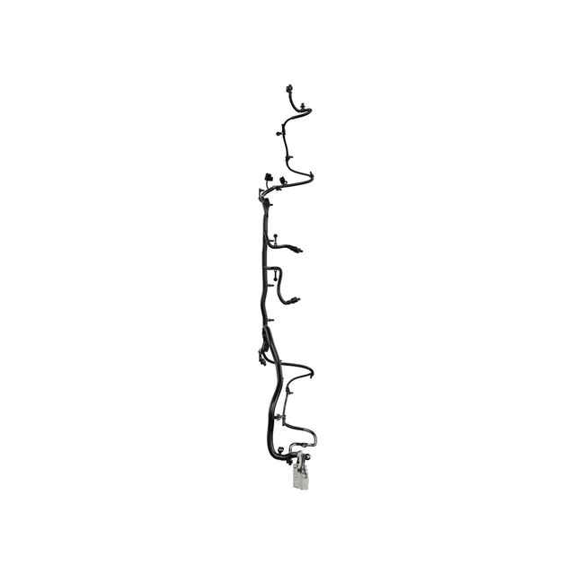 Alternate Image