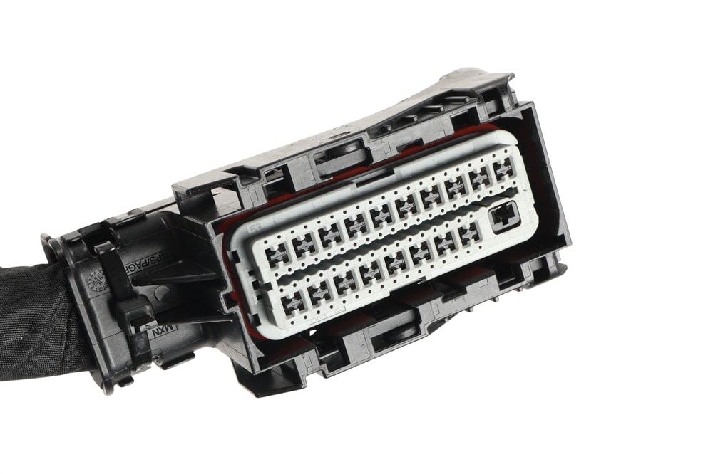 Alternate Image