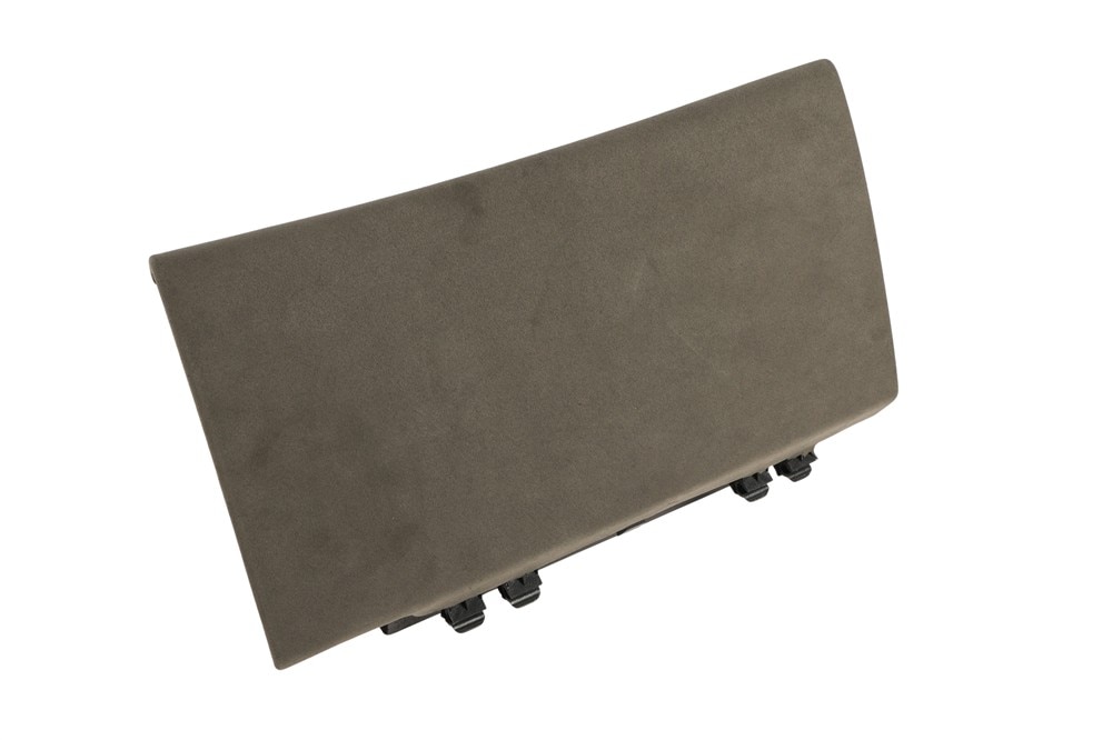 GM Genuine Parts Glove Box Door