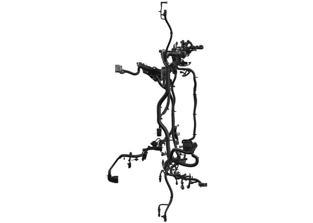 Alternate Image