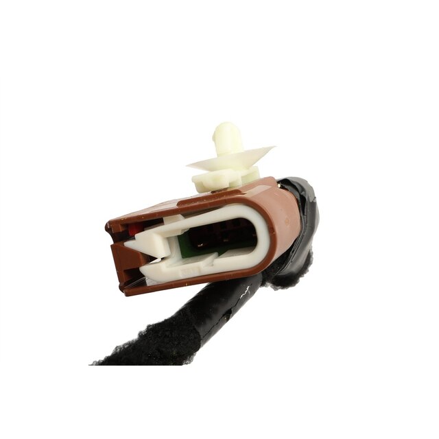 Alternate Image