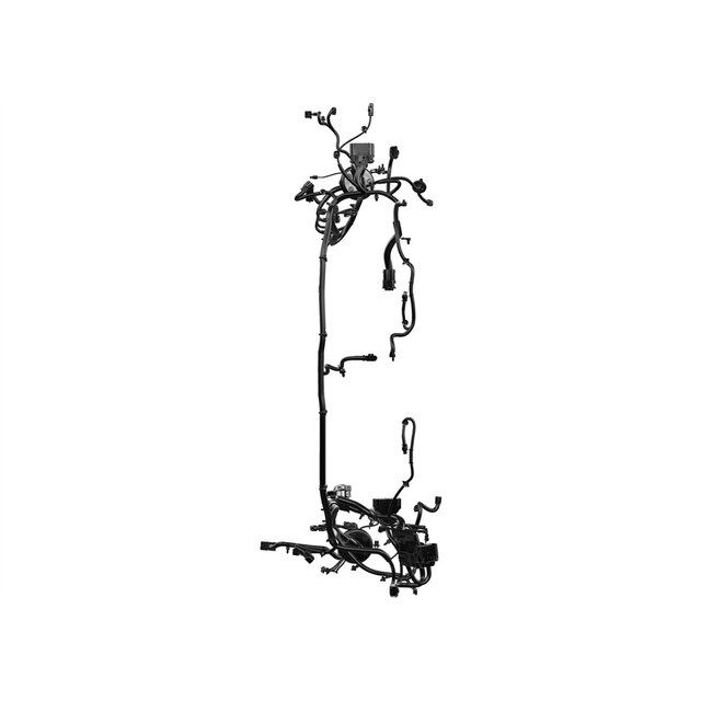 Alternate Image