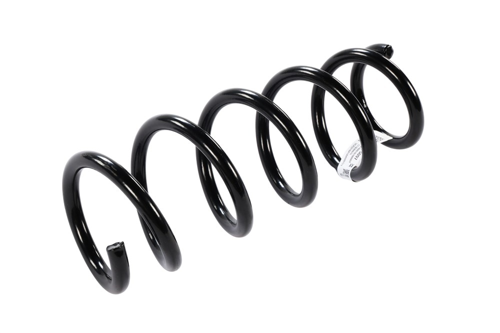GM Genuine Parts Rear Coil Spring