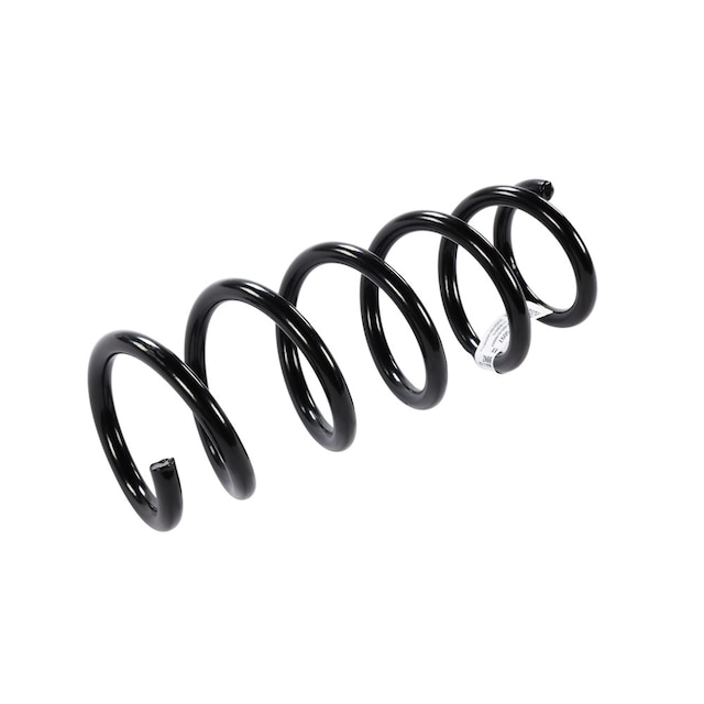 GM Genuine Parts Rear Coil Spring