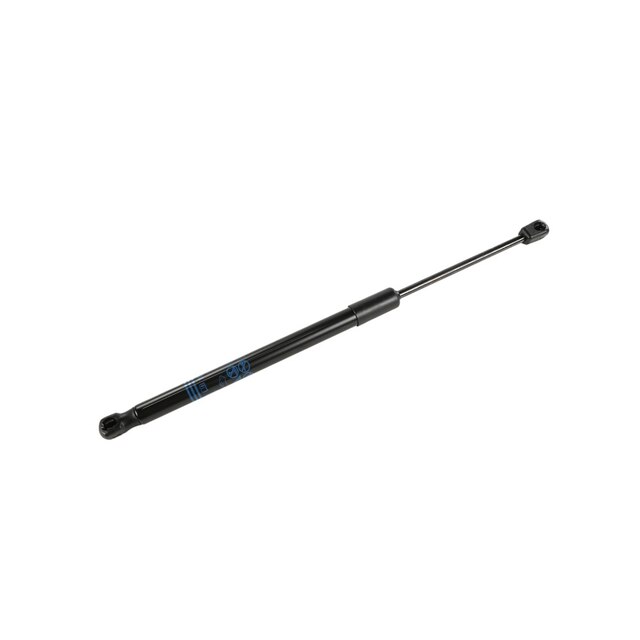 GM Genuine Parts Hood Strut