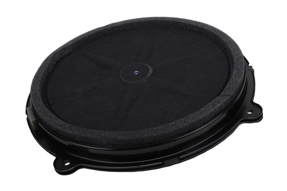 GM Genuine Parts Rear Speaker