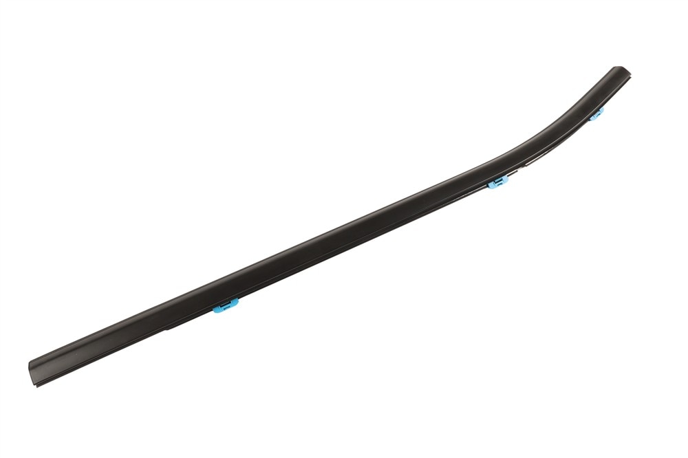 GM Genuine Parts Rear Driver Side Door Window Belt Reveal Molding