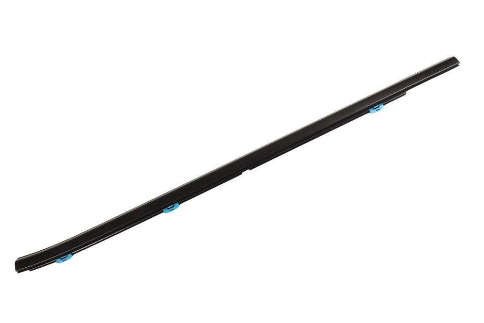 GM Genuine Parts Front Driver Side Door Window Belt Reveal Molding