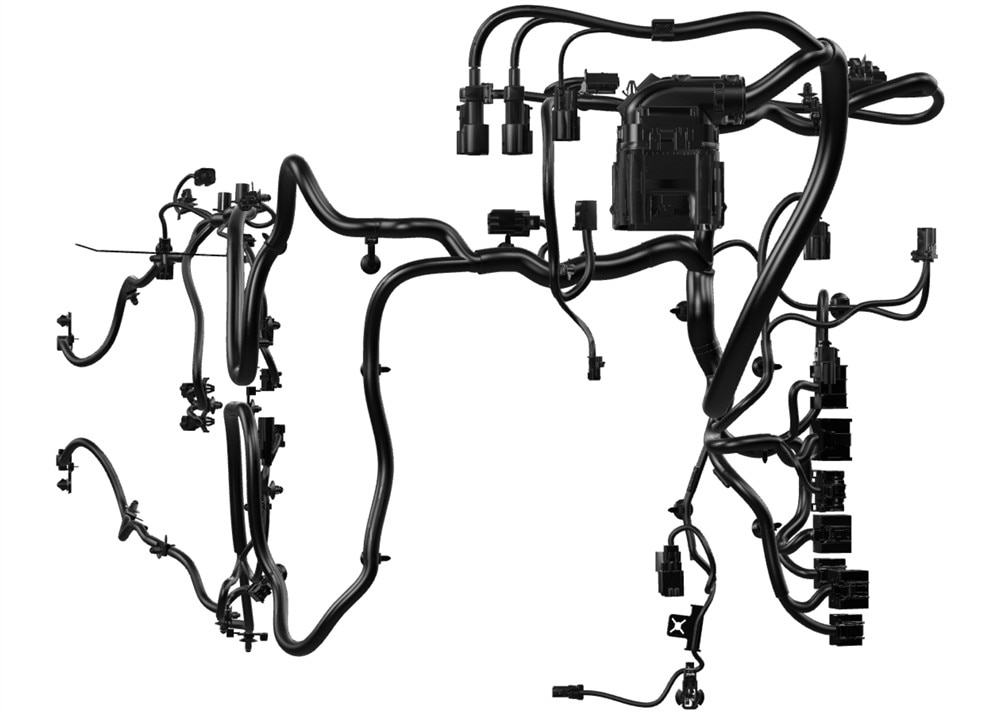 Alternate Image