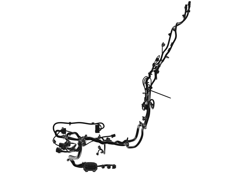 Alternate Image