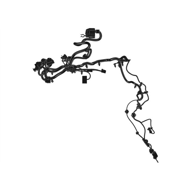 Alternate Image