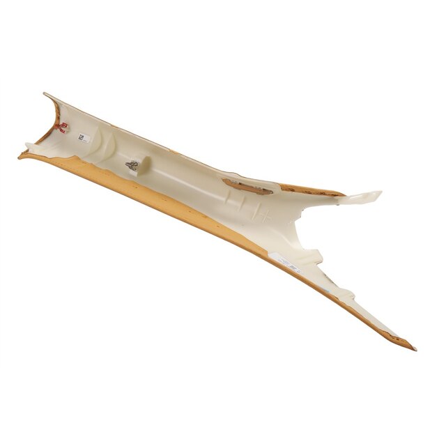 Alternate Image