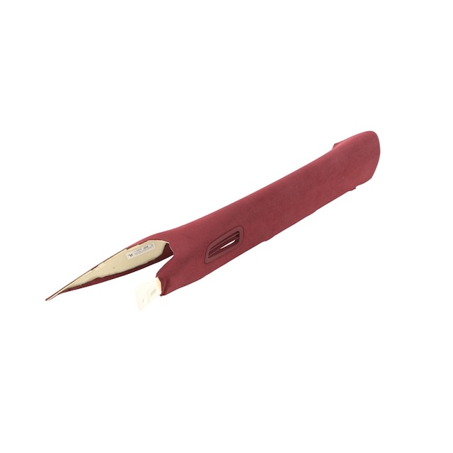 GM Genuine Parts Morello Red Passenger Side Windshield Garnish Molding