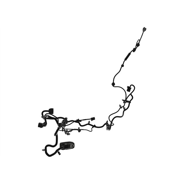 Alternate Image