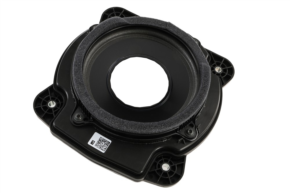 GM Genuine Parts Driver Side Radio Front Side Door Speaker