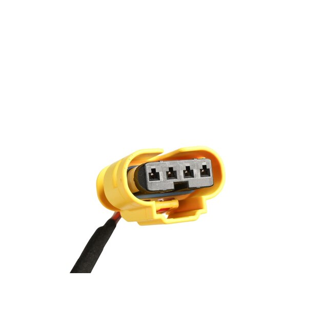 Alternate Image