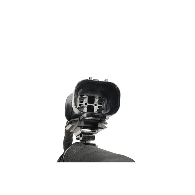 Alternate Image