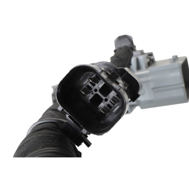 Alternate Image