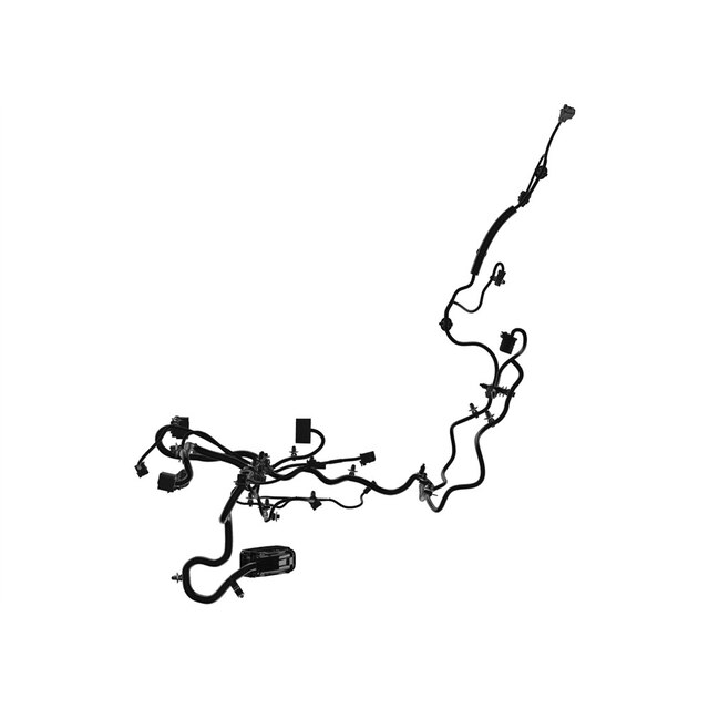 Alternate Image