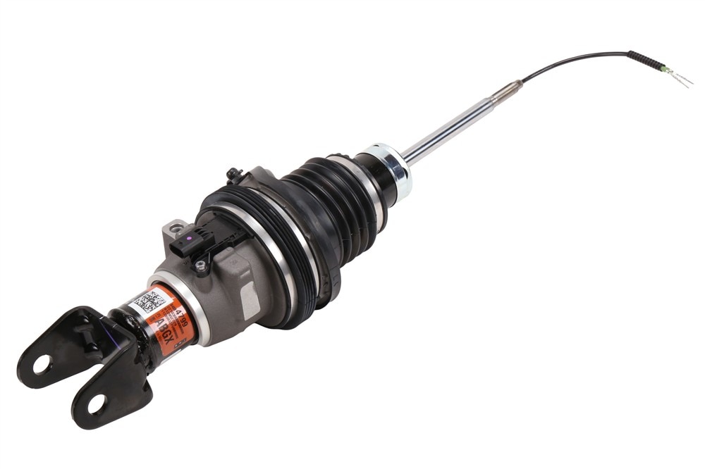 GM Genuine Parts Front Passenger Side Shock Absorber