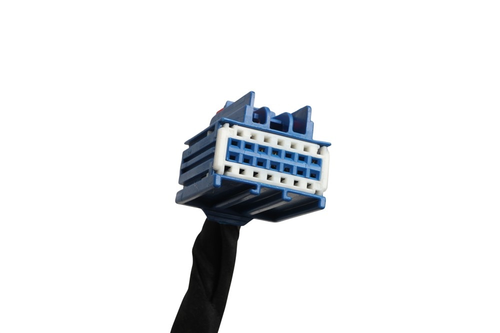 Alternate Image