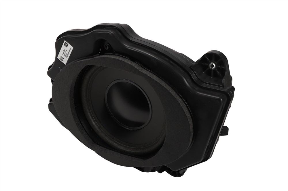 GM Genuine Parts Front Passenger Side Door Speaker