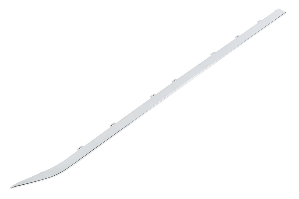 GM Genuine Parts Galvano Silver Rear Driver Side Door Molding Insert