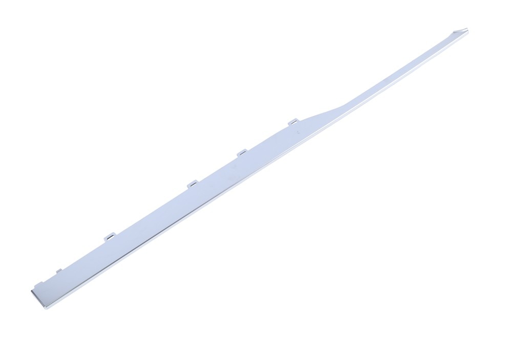 GM Genuine Parts Galvano Silver Rear Driver Side Door Molding Insert