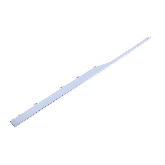 GM Genuine Parts Galvano Silver Rear Driver Side Door Molding Insert