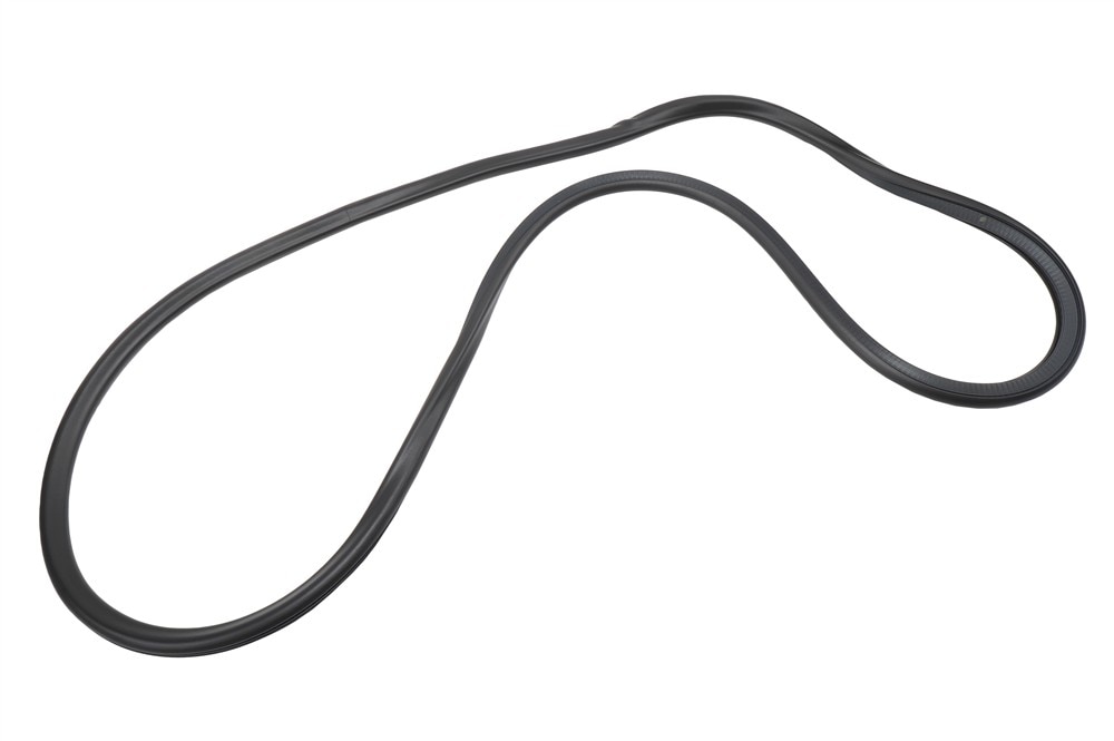 GM Genuine Parts Rear Side Door Weatherstrip