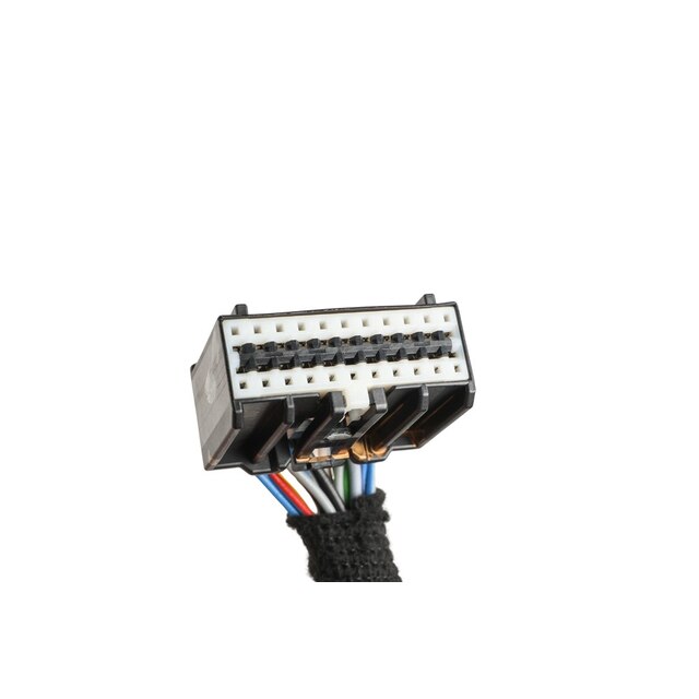 Alternate Image